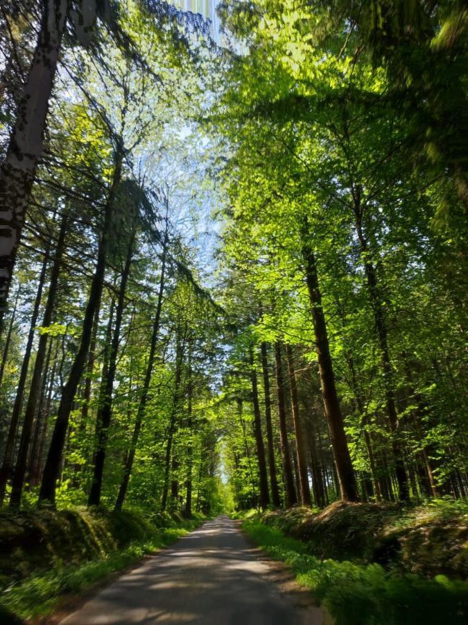 Gite Les Tongs Des Pres, Au Coeur Du Parc Normandie Maine Livaie Экстерьер фото